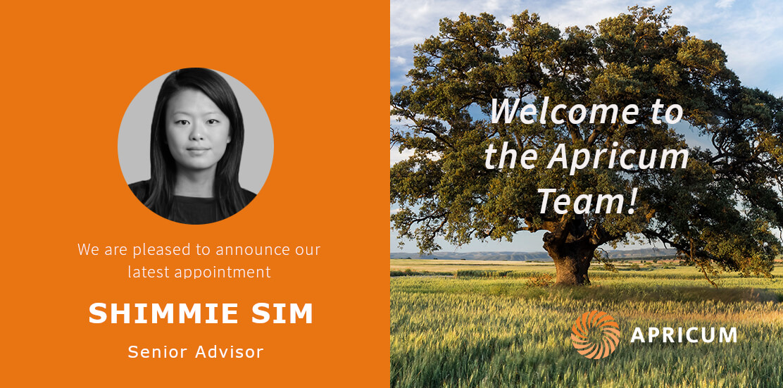 Financial modeler Shimmie Sim joins Apricum as a senior advisor