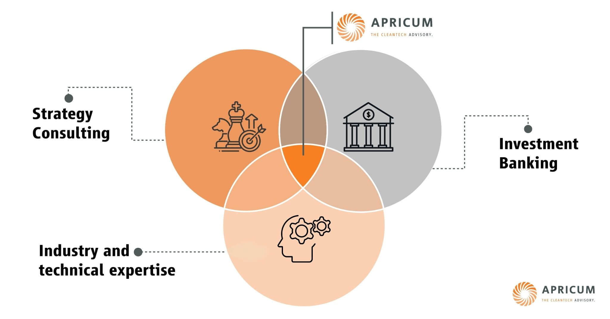 Apricum model - venn