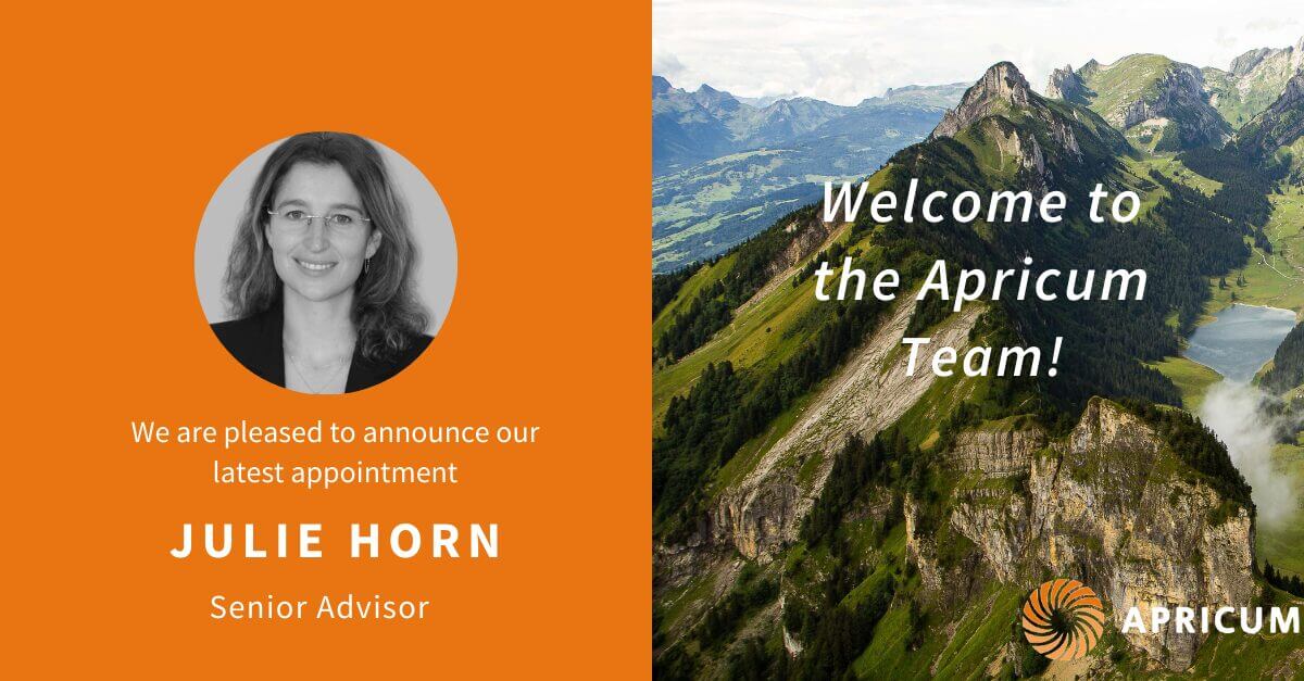 Electrification and energy transition expert Julie Horn joins Apricum