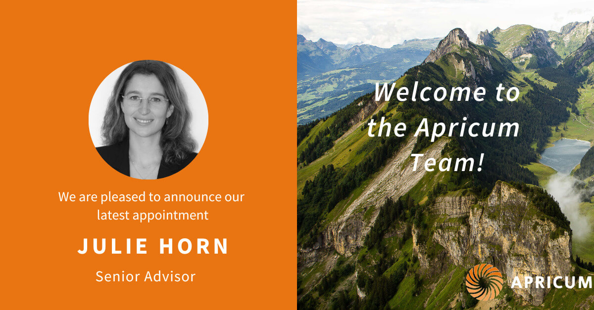 Electrification and energy transition expert Julie Horn joins Apricum