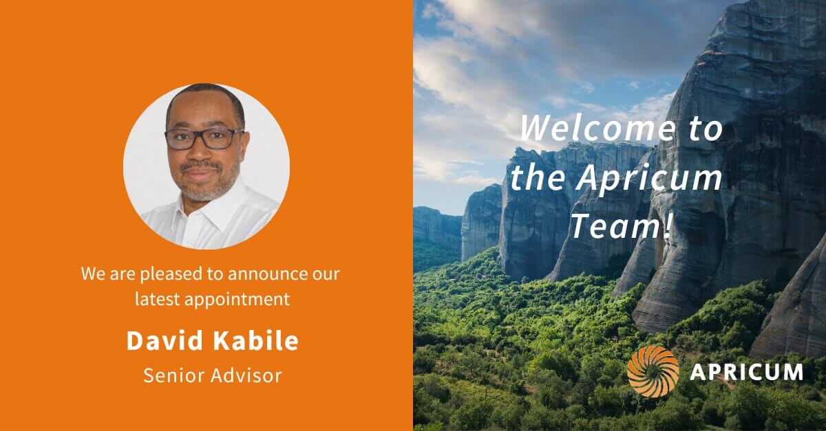 Apricum adds deep private equity and cleantech expertise with new senior advisor David Kabile
